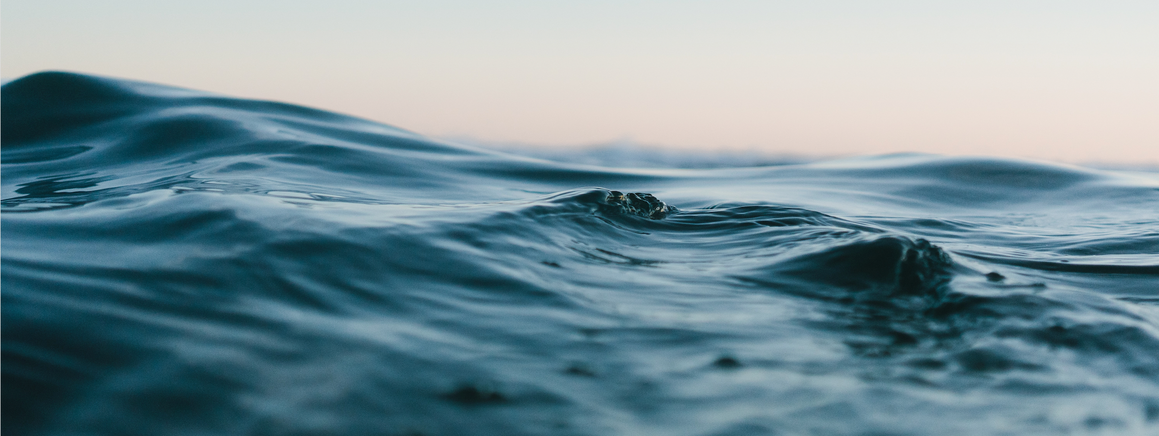 All about Blue Friday and Ocean Conservation